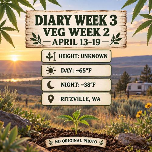 RS11 Outdoor WA 2026. Week 2