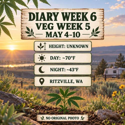 RS11 Outdoor WA 2026. Week 5