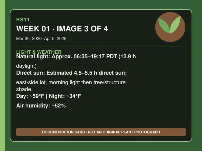 RS11 Outdoor WA 2026. Week 0