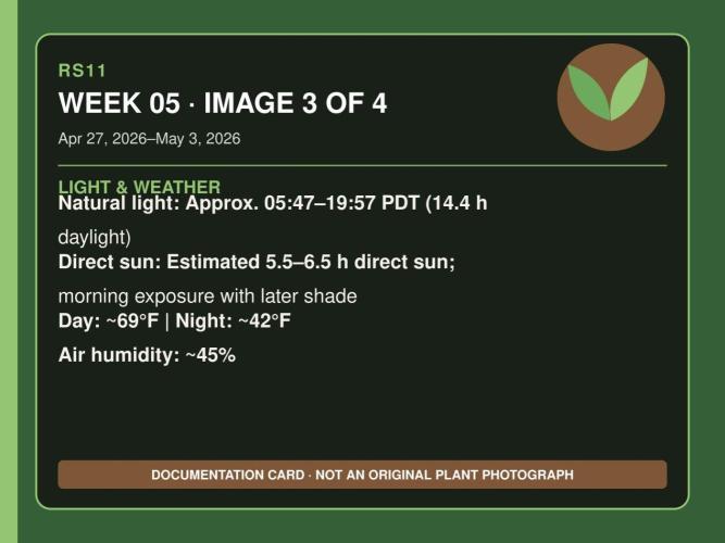 RS11 Outdoor WA 2026. Week 4