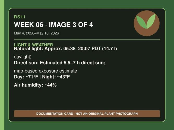RS11 Outdoor WA 2026. Week 5