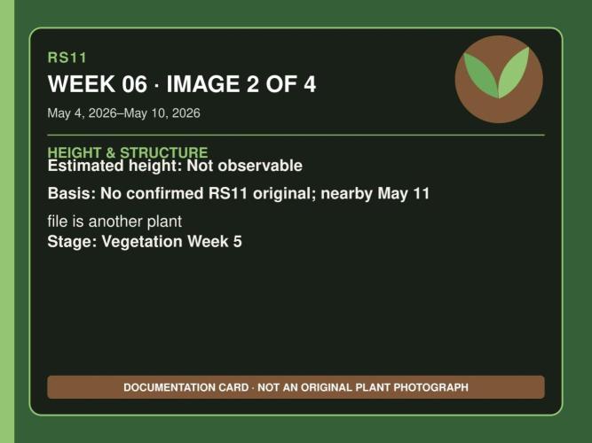 RS11 Outdoor WA 2026. Week 5