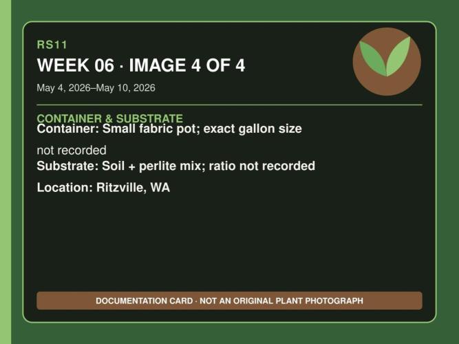 RS11 Outdoor WA 2026. Week 5