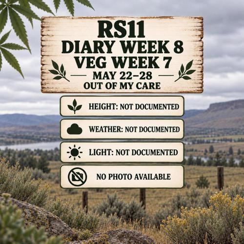RS11 Outdoor WA 2026. Week 7