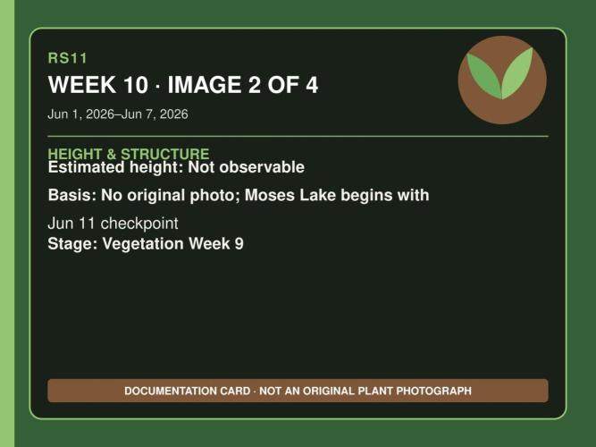 RS11 Outdoor WA 2026. Week 9