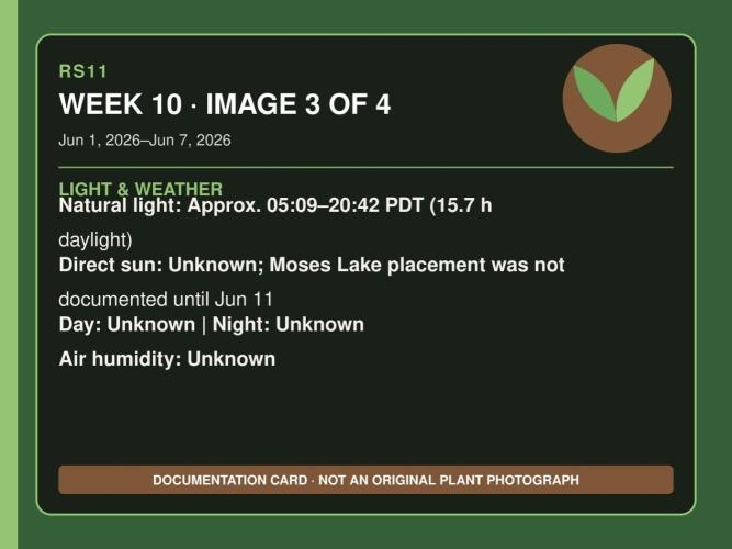 RS11 Outdoor WA 2026. Week 9