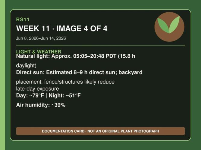 RS11 Outdoor WA 2026. Week 10