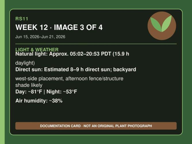 RS11 Outdoor WA 2026. Week 11