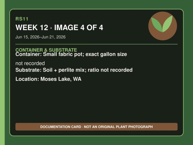 RS11 Outdoor WA 2026. Week 11