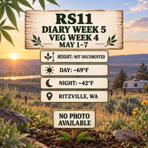 RS11 Outdoor WA 2026. Week 11