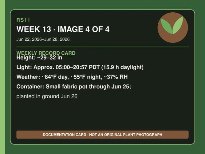 RS11 Outdoor WA 2026. Week 12