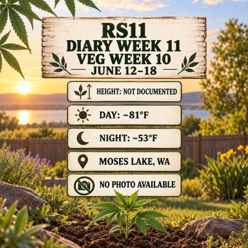 RS11 Outdoor WA 2026. Week 13