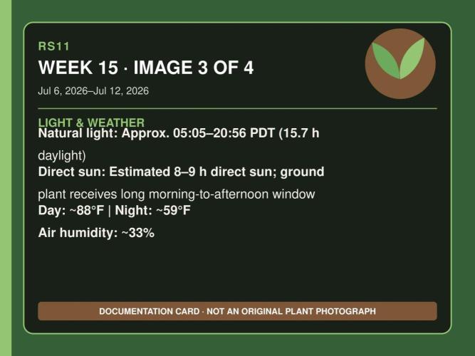 RS11 Outdoor WA 2026. Week 14