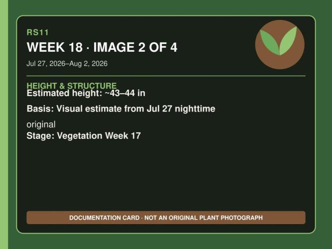 RS11 Outdoor WA 2026. Week 17