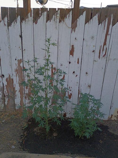 RS11 Outdoor WA 2026. Week 19