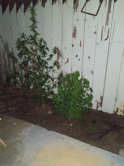 RS11 Outdoor WA 2026. Week 21