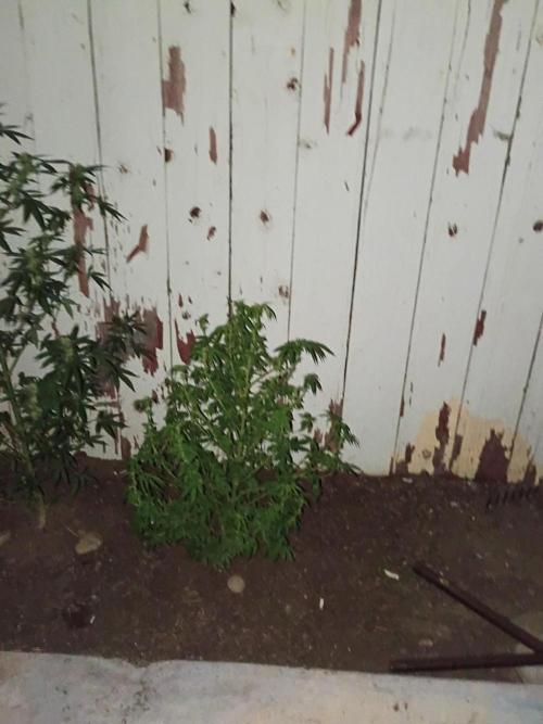 RS11 Outdoor WA 2026. Week 22