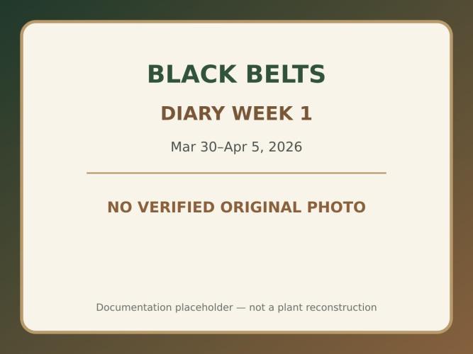 Black Belts Outdoor WA 2026. Week 0