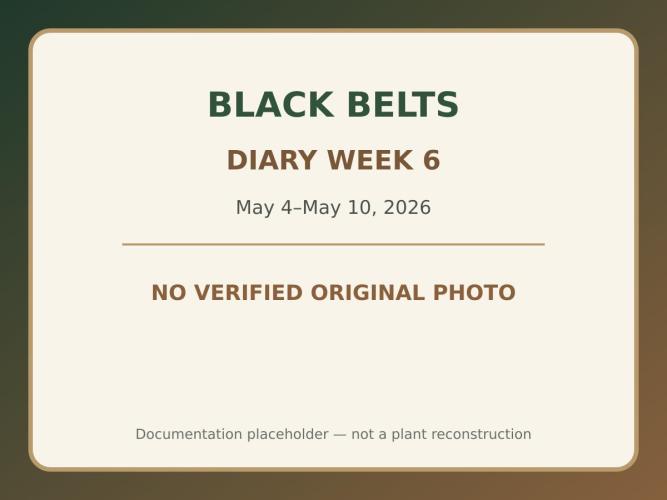 Black Belts Outdoor WA 2026. Week 5