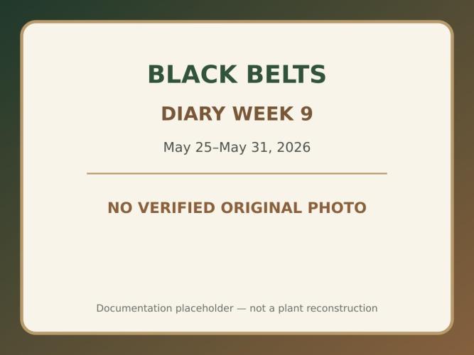 Black Belts Outdoor WA 2026. Week 8
