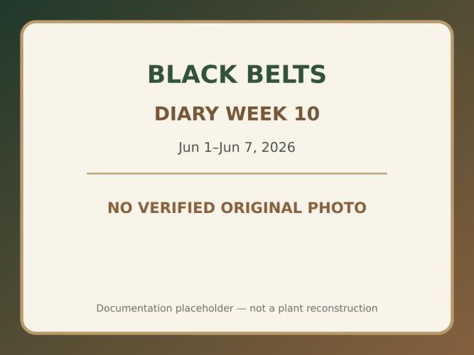 Black Belts Outdoor WA 2026. Week 9