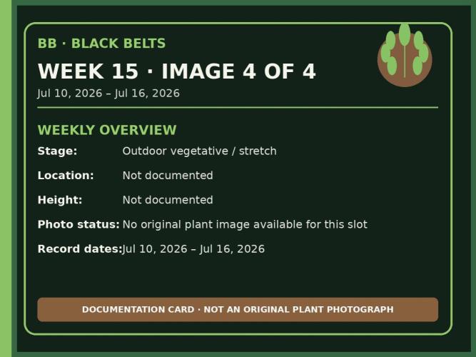 Black Belts Outdoor WA 2026. Week 14