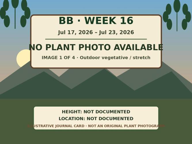 Black Belts Outdoor WA 2026. Week 15