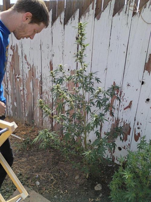 Black Belts Outdoor WA 2026. Week 22