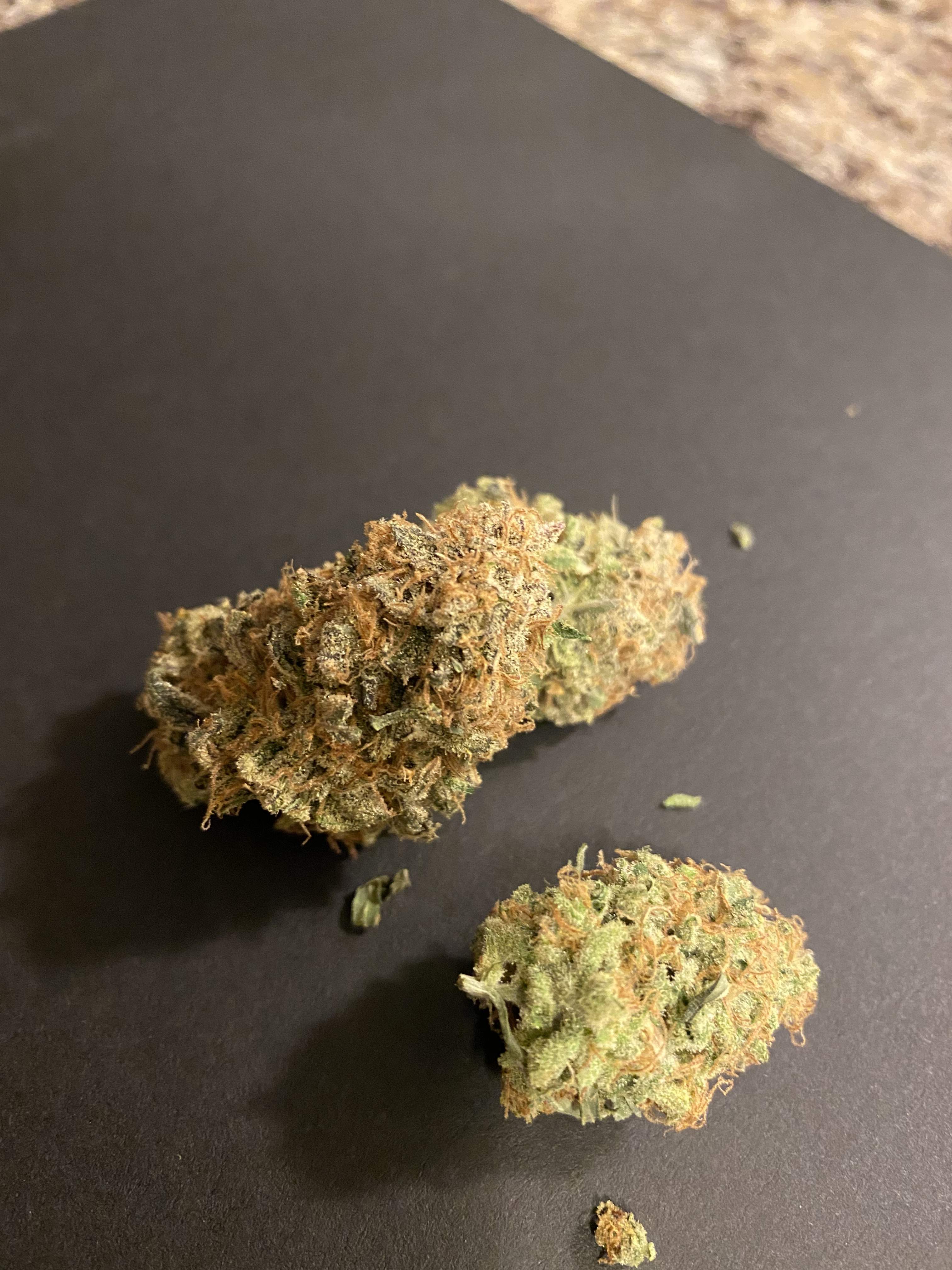 ETHOS Early Lemon Berry R1 grow diary (journal) harvest20 by Sesc14 GrowDiaries