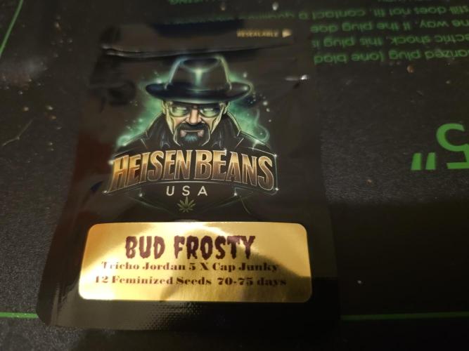 Heisenbeans - Bud Frosty. Week 0 - HeisenBeans Bud frosty (Tricho Jordan x CAP Junky)
