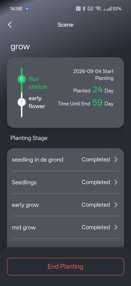 Hands off grow. Week 4