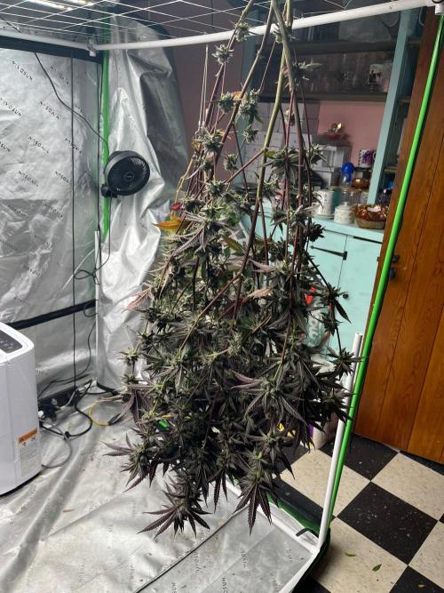 8/9/2026. Week 9