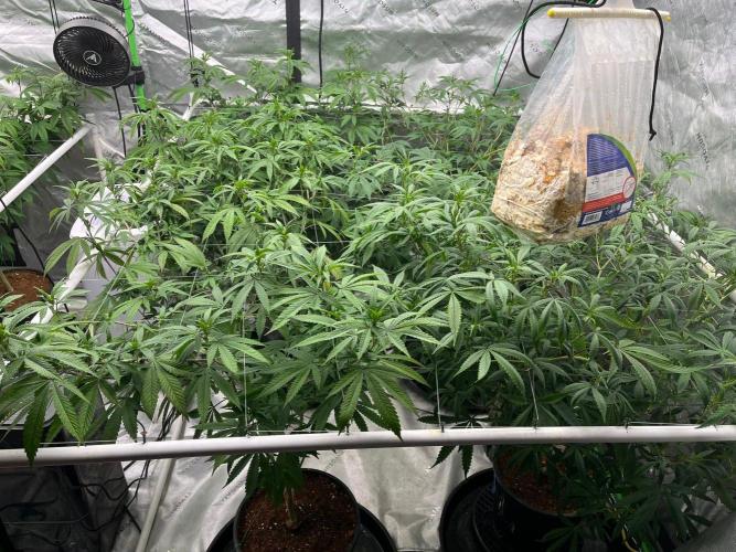 Super Boof. Week 4