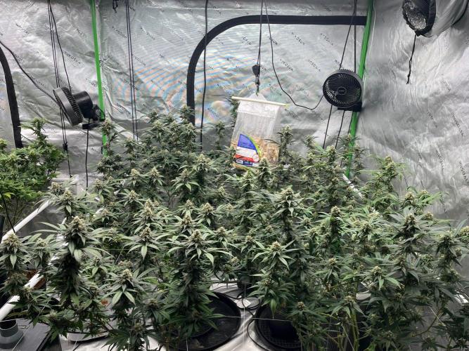 Super Boof. Week 6
