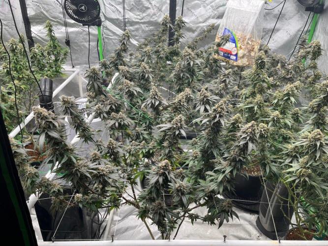 Super Boof. Week 8
