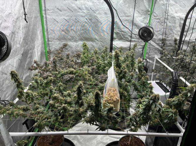 Ray Charles. Week 8