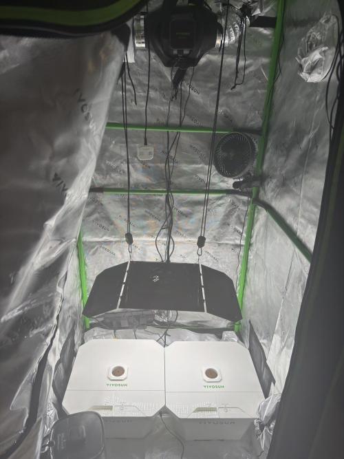 Dr. Picasso. Week 0