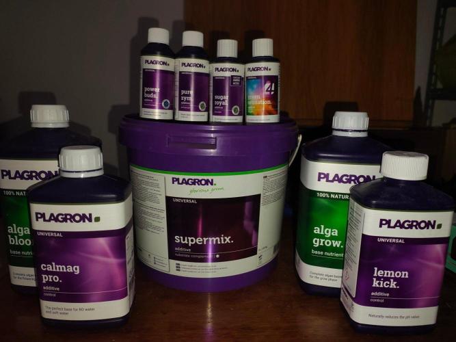 My First Diary.. Week 1 - I'm using Plagron as usuale for best result guarantee.
