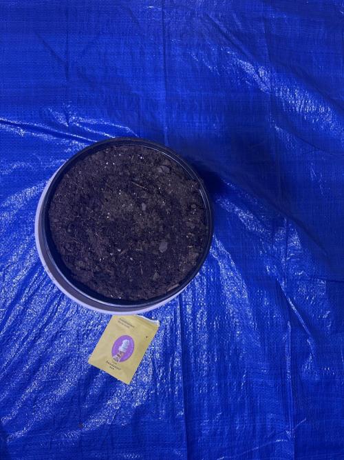 4x4 mix batch. Week 1 - Gelato OG auto- Week W
