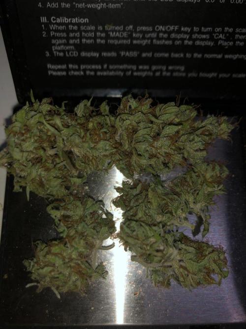 First grow but definitely not last :). Week 7
