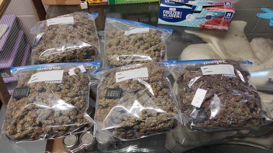 Chemdawg Summer 2025. Week 33 - Chemdawg bag RH testing 11-13