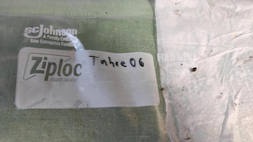 Six for the Summer of 2026. Week 0 - Day 3 Tahoe OG sprout