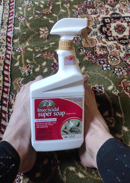 Six for the Summer of 2026. Week 8 - Day 61 Captain Jack soap