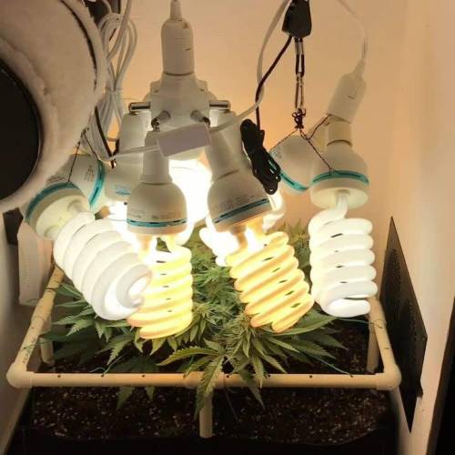 Custom Grow Box & Fabric Pot Micro Grow