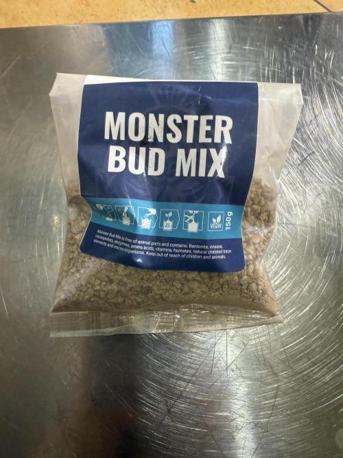 Divine plant. Week 0