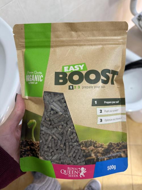 Divine plant. Week 0