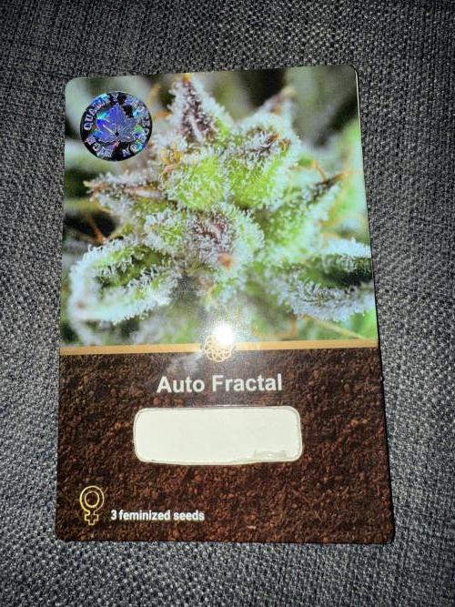 Divine plant. Week 0