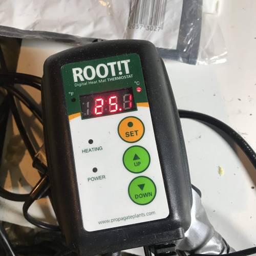 Auto 4 strains mini Garden . Week 1 - Setting back up the propagation unit