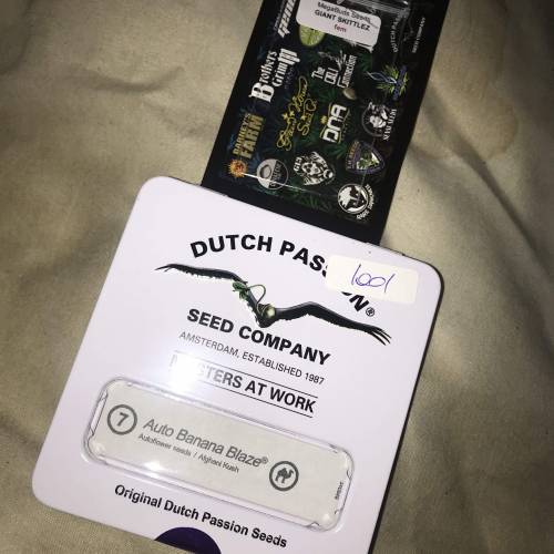 Auto 4 strains mini Garden . Week 3 - Couldn’t resist the bargain, hope I have better germination then the C.o.p