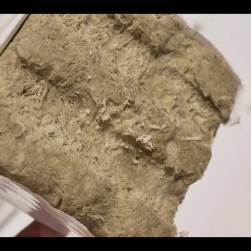 Super Stealth Grow. Week 2 - Day 10. Roots still air pruning. 